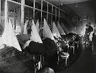 Influenza Hospital Ward 1918